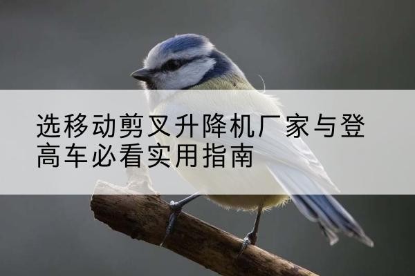 察雅电动升降机厂家-选移动剪叉升降机厂家与登高车必看实用指南