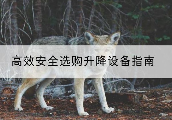 察雅升降货梯厂家推荐-*安全选购升降设备指南